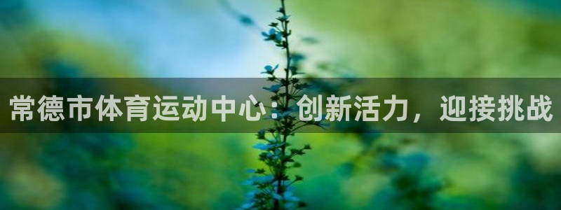 球王会体育