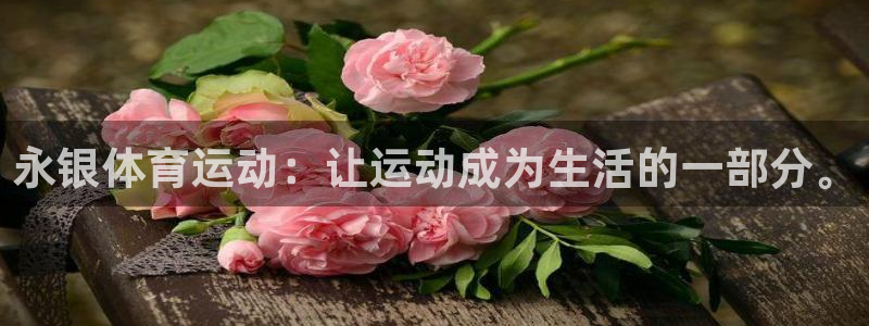 球王会体育