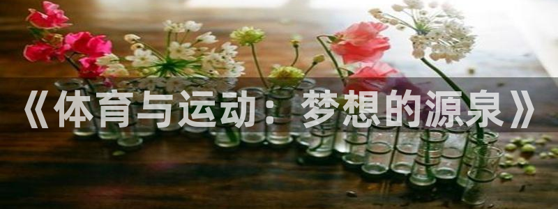 球王会体育