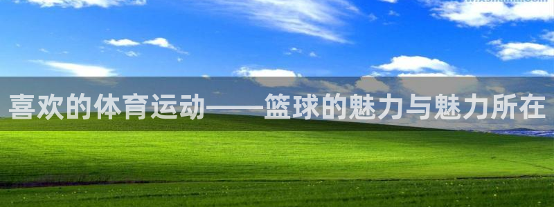 球王会体育