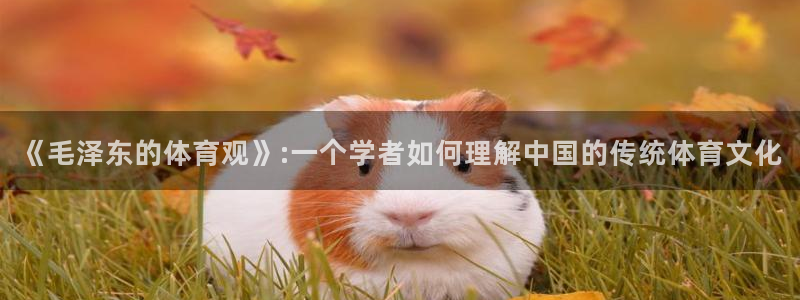 球王会体育