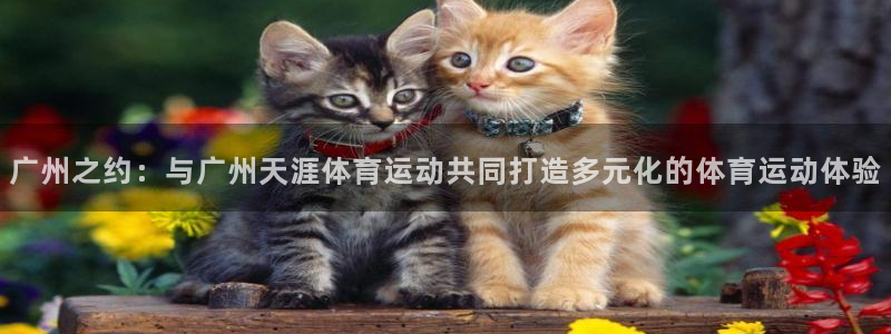 球王会体育