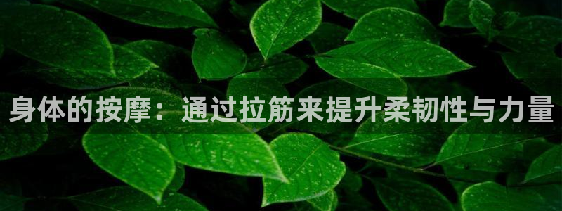球王会体育