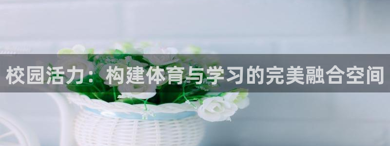 球王会体育