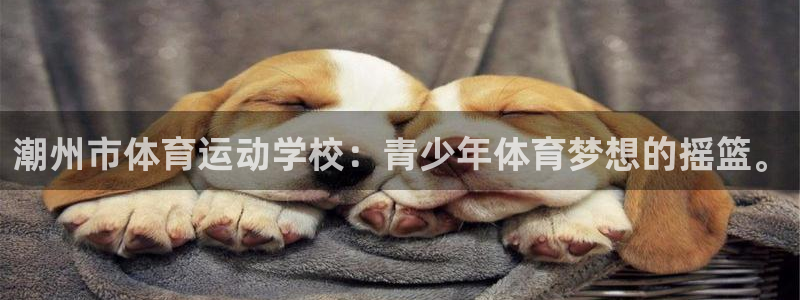 球王会体育