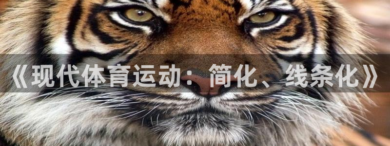 球王会体育
