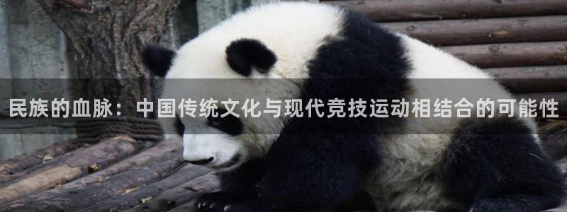球王会体育