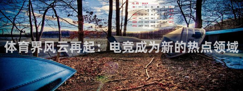 球王会体育