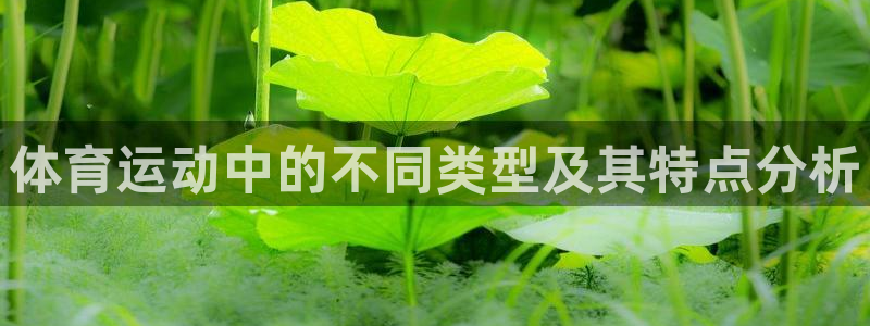 球王会体育