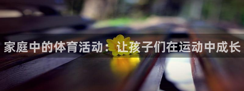 球王会体育